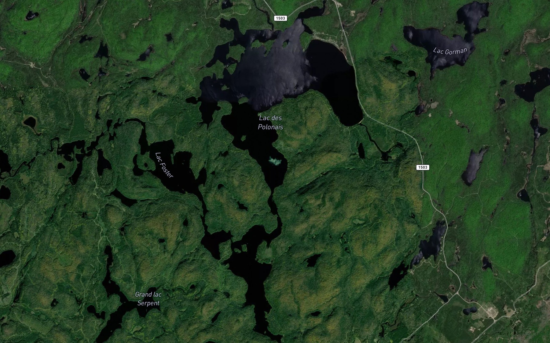 Satellite map of the Lac des Polonais