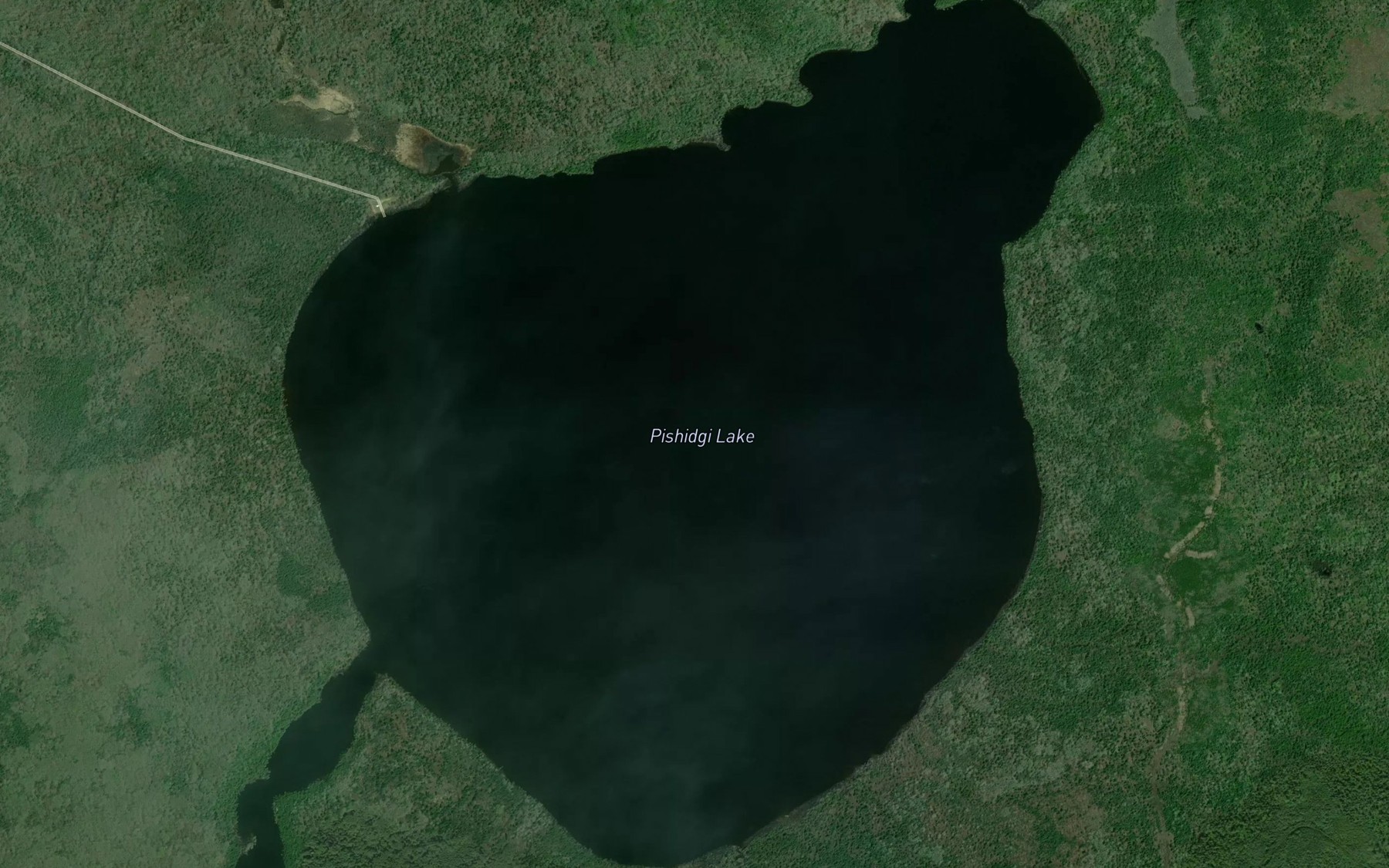 Satellite map of the Pishidgi Lake