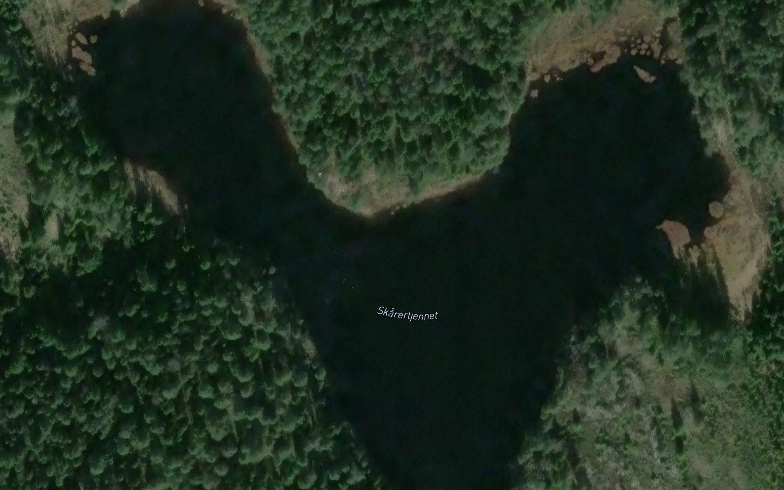 Skarertjernet