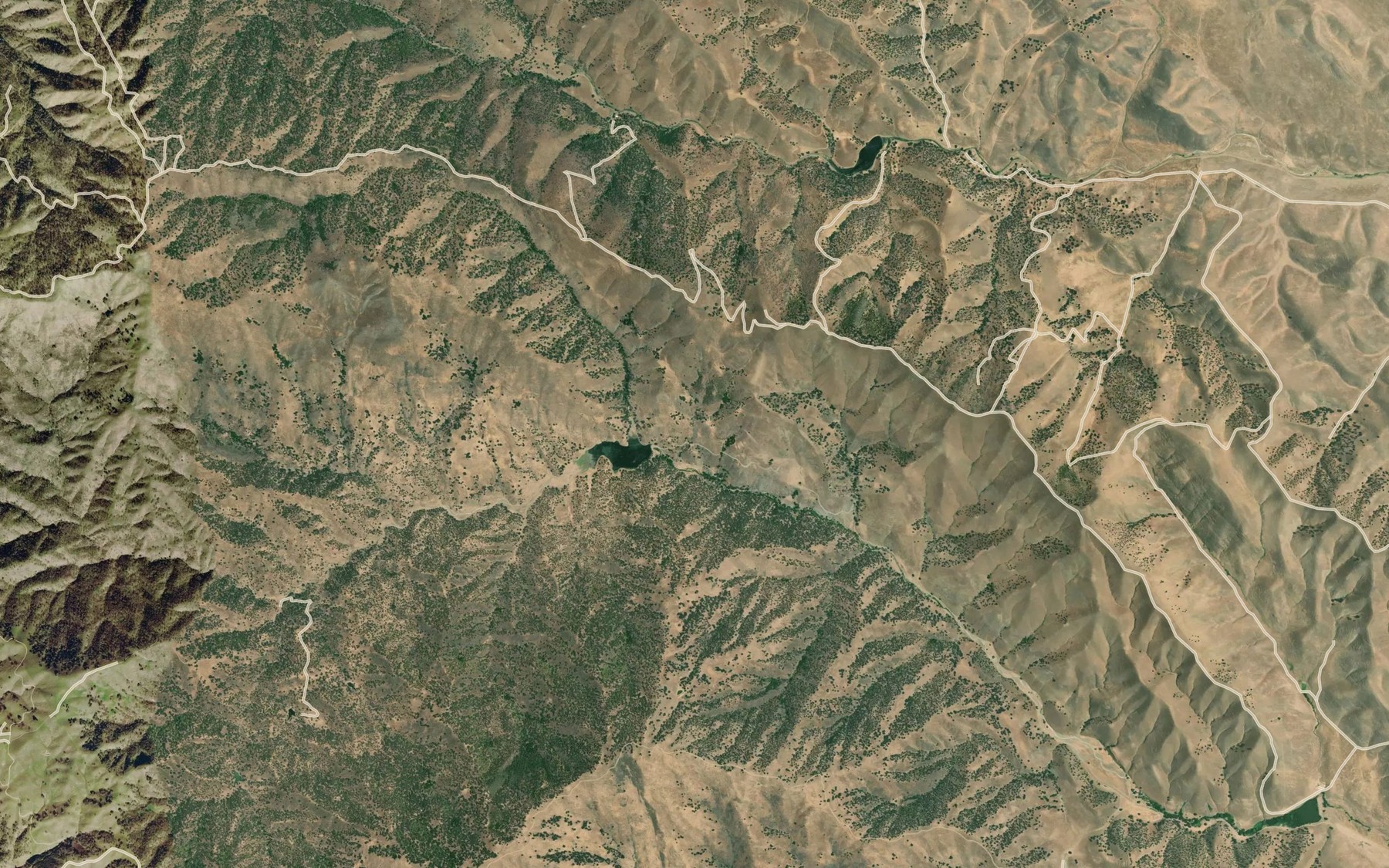 Satellite map of the Reeves Spring
