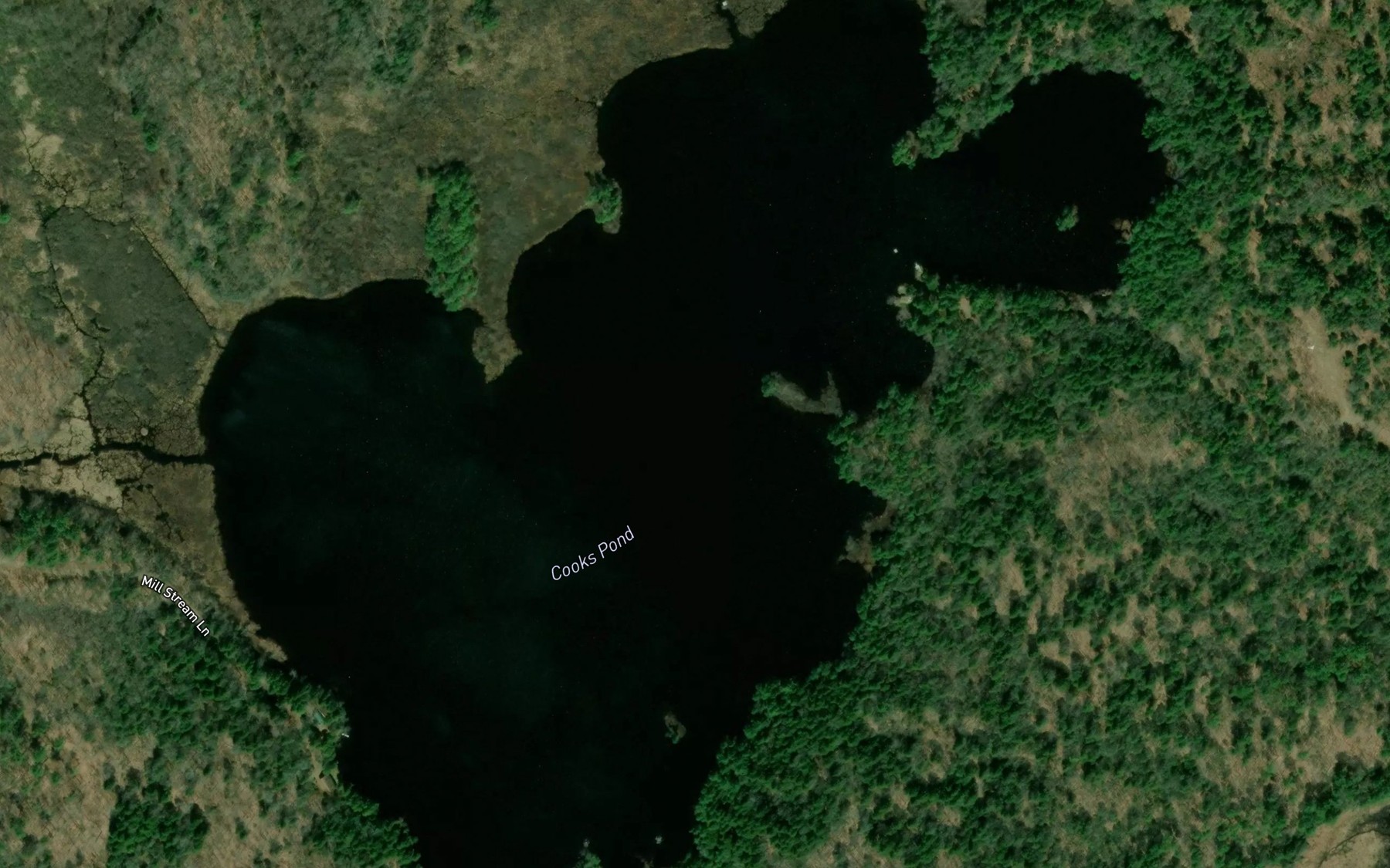 Satellite map of the Cooks Pond