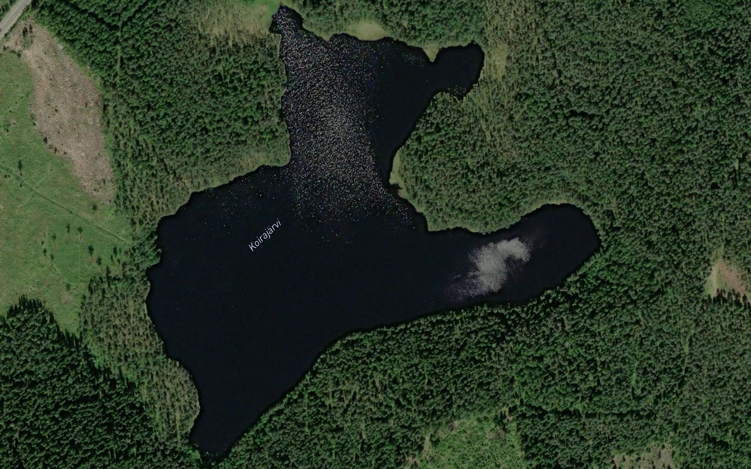 Koirajarvi
