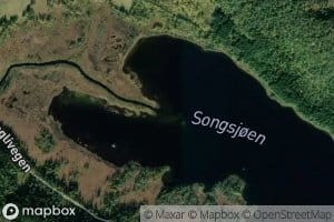 Songsjoen
