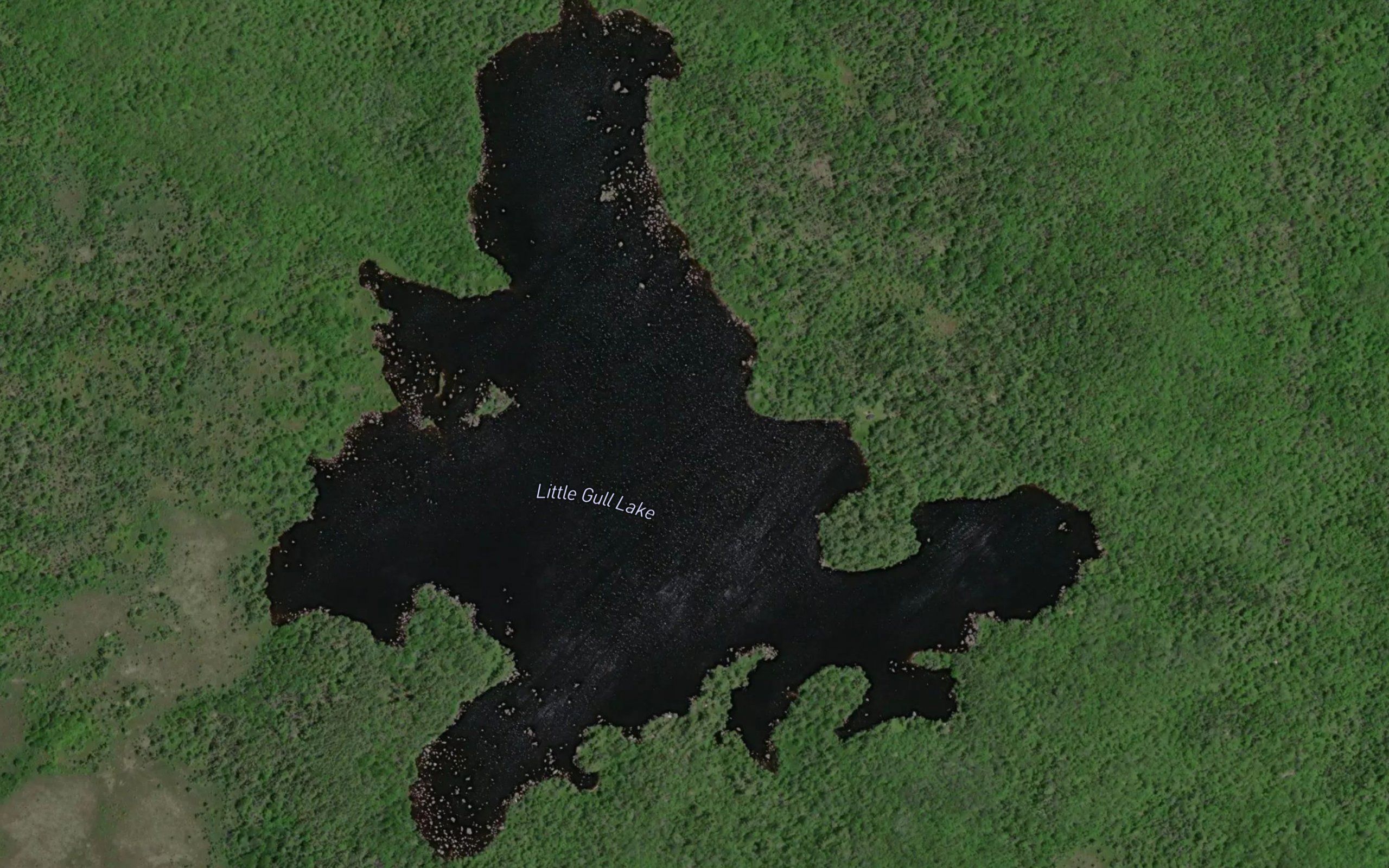 Little Gull Lake