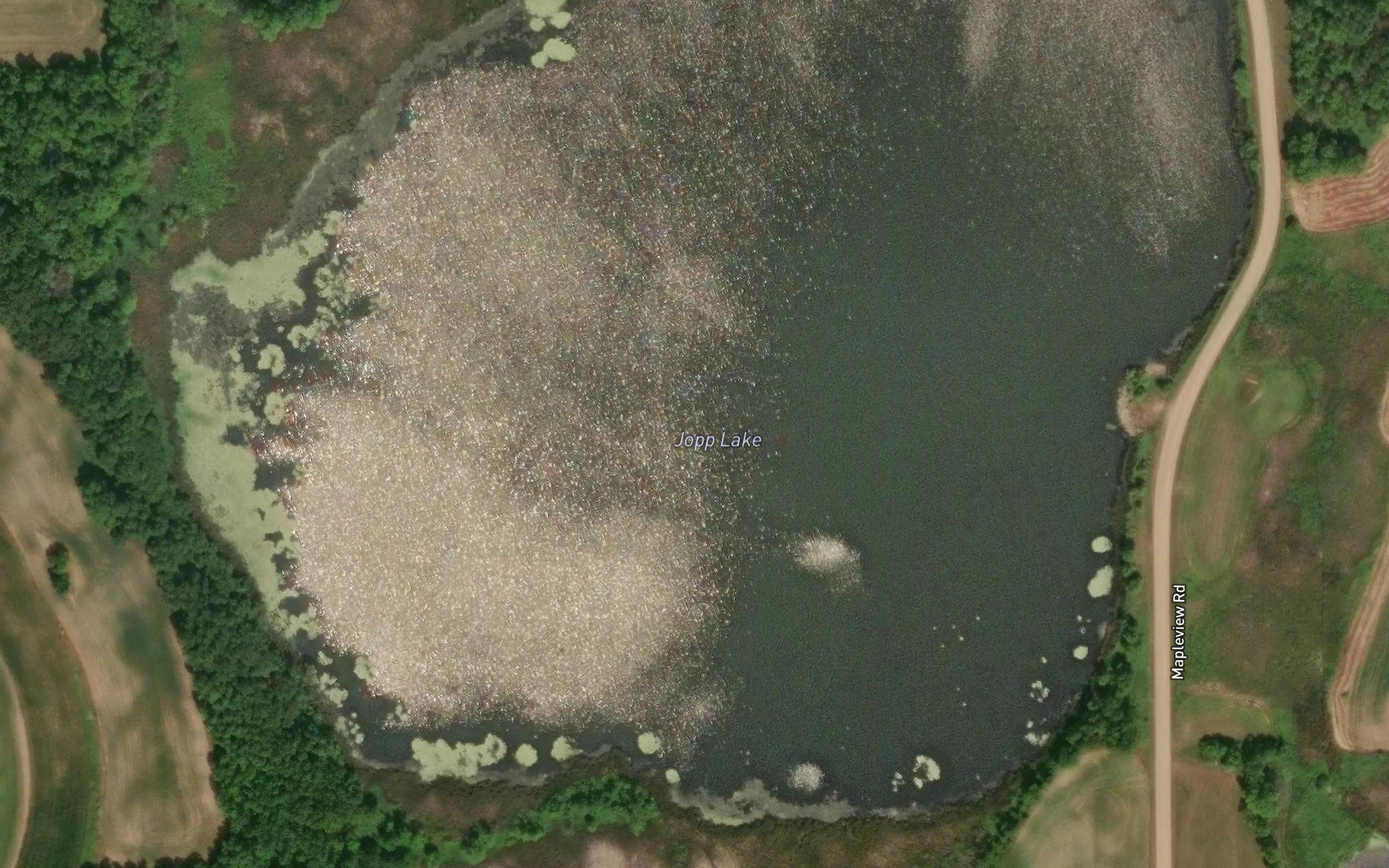 Jopp Lake