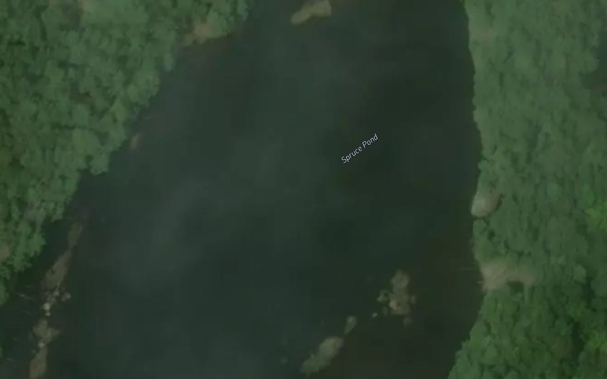 Spruce Pond