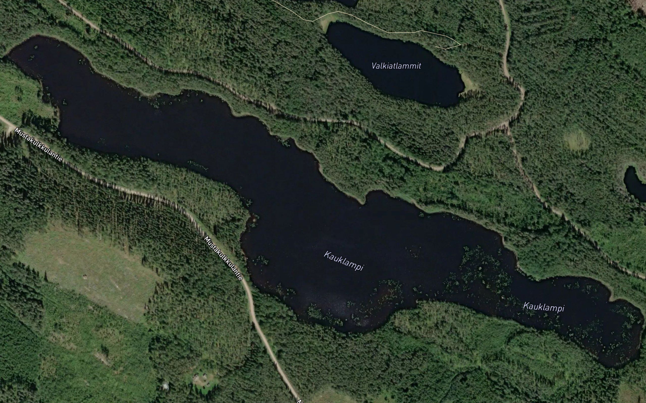 Kauklampi