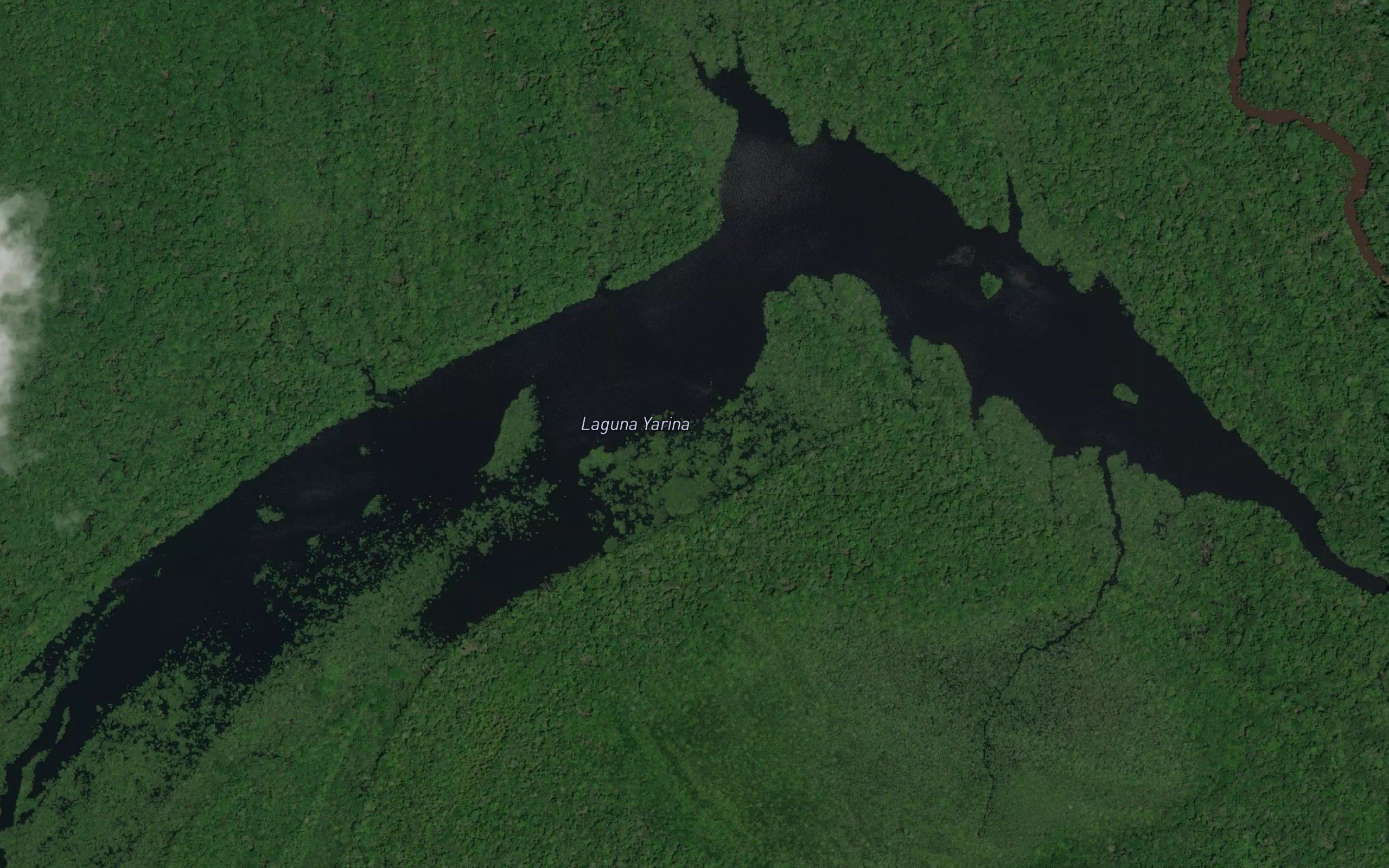 Laguna Yarina