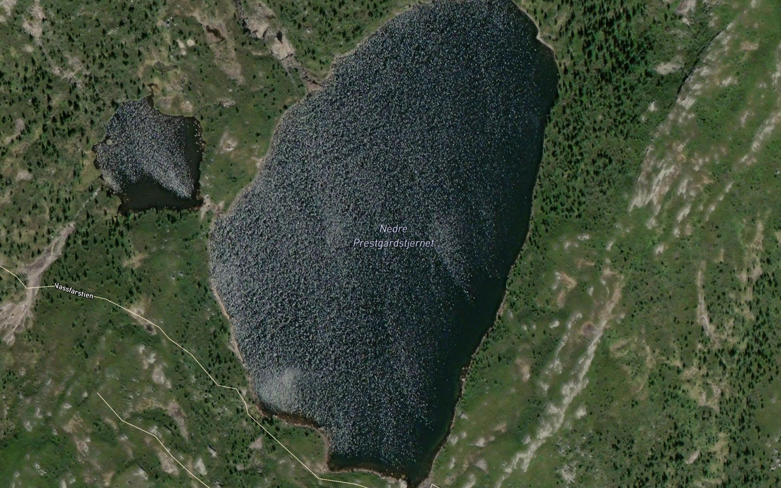 Nedre Prestgardstjernet