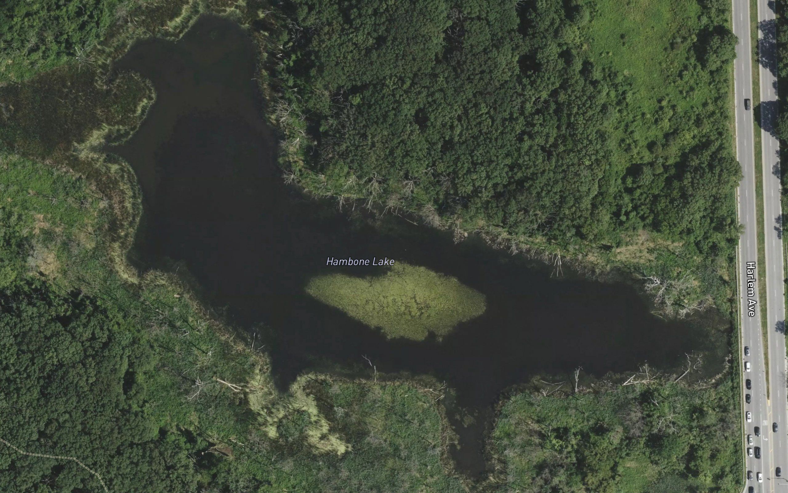 Hambone Lake