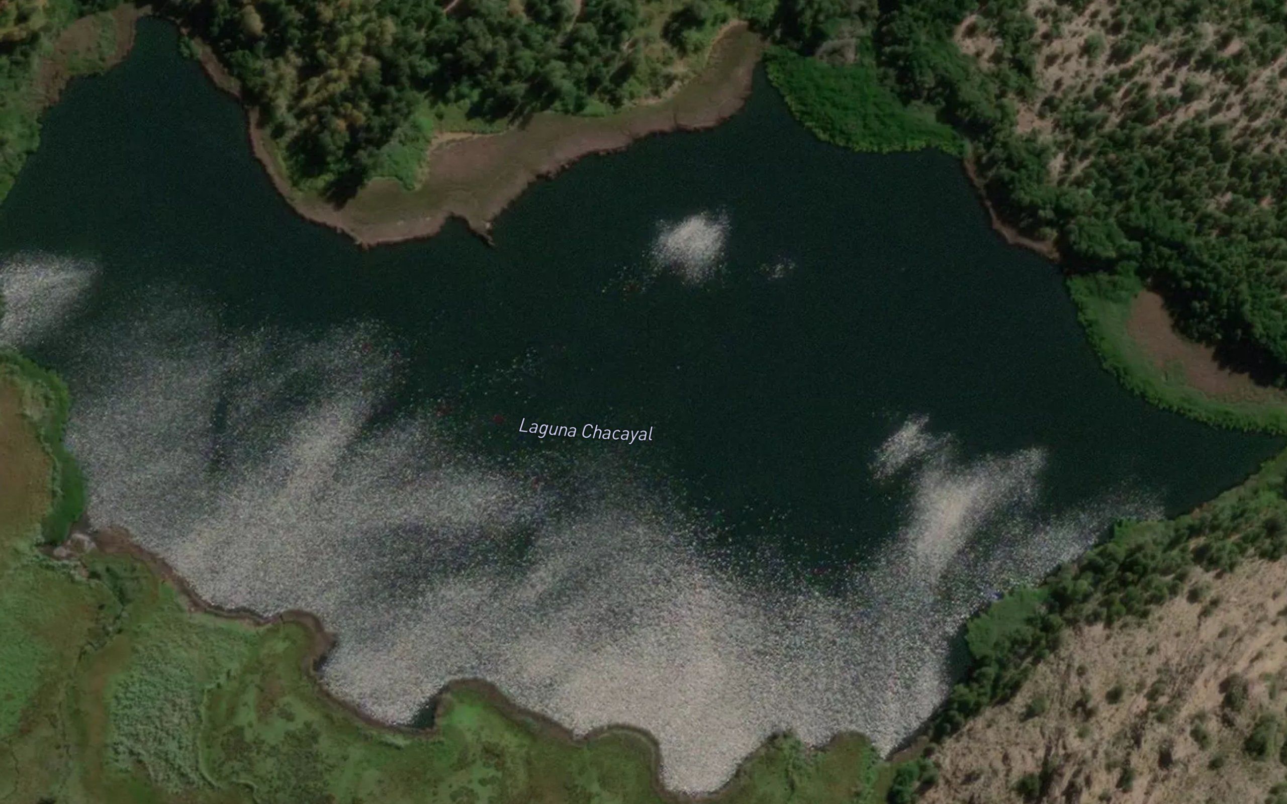 Lago Chacayal