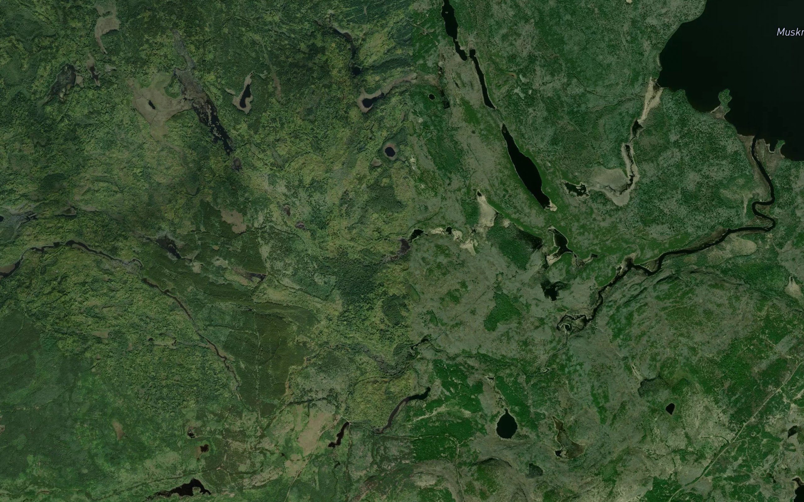 Little Muskrat River