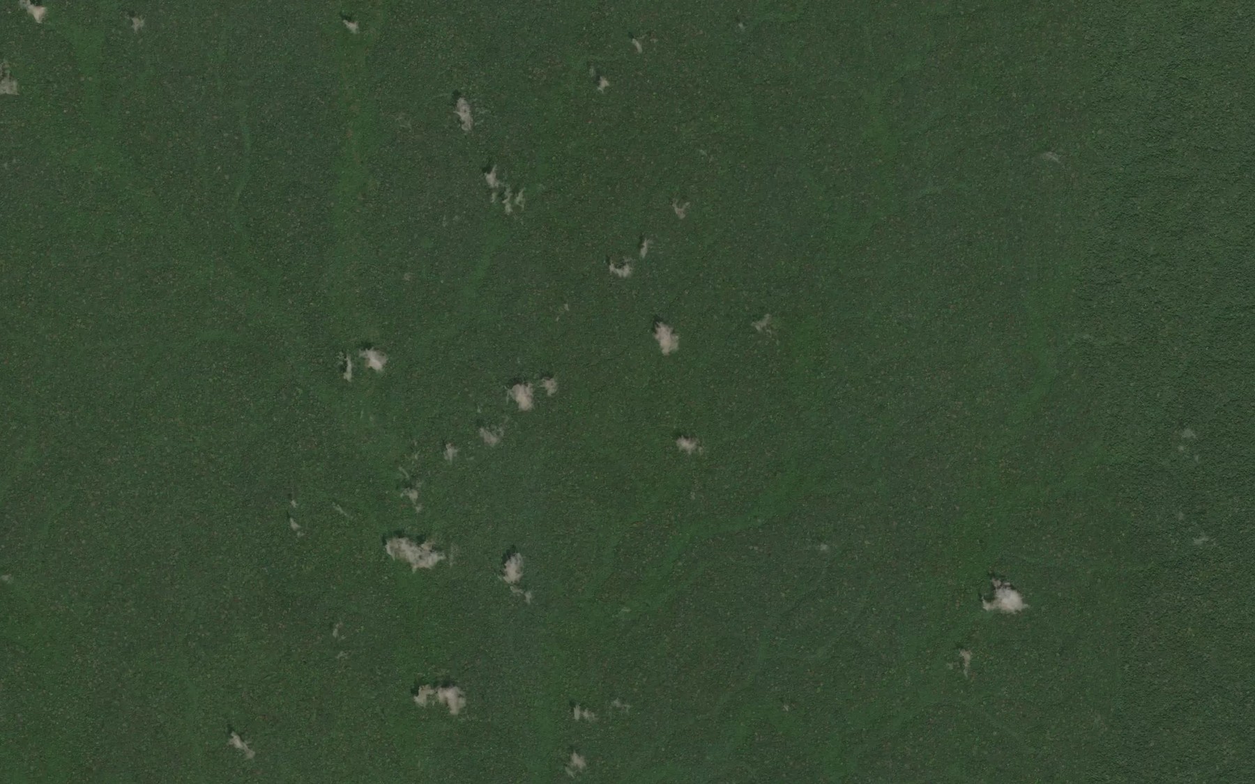 Satellite map of the Odieka