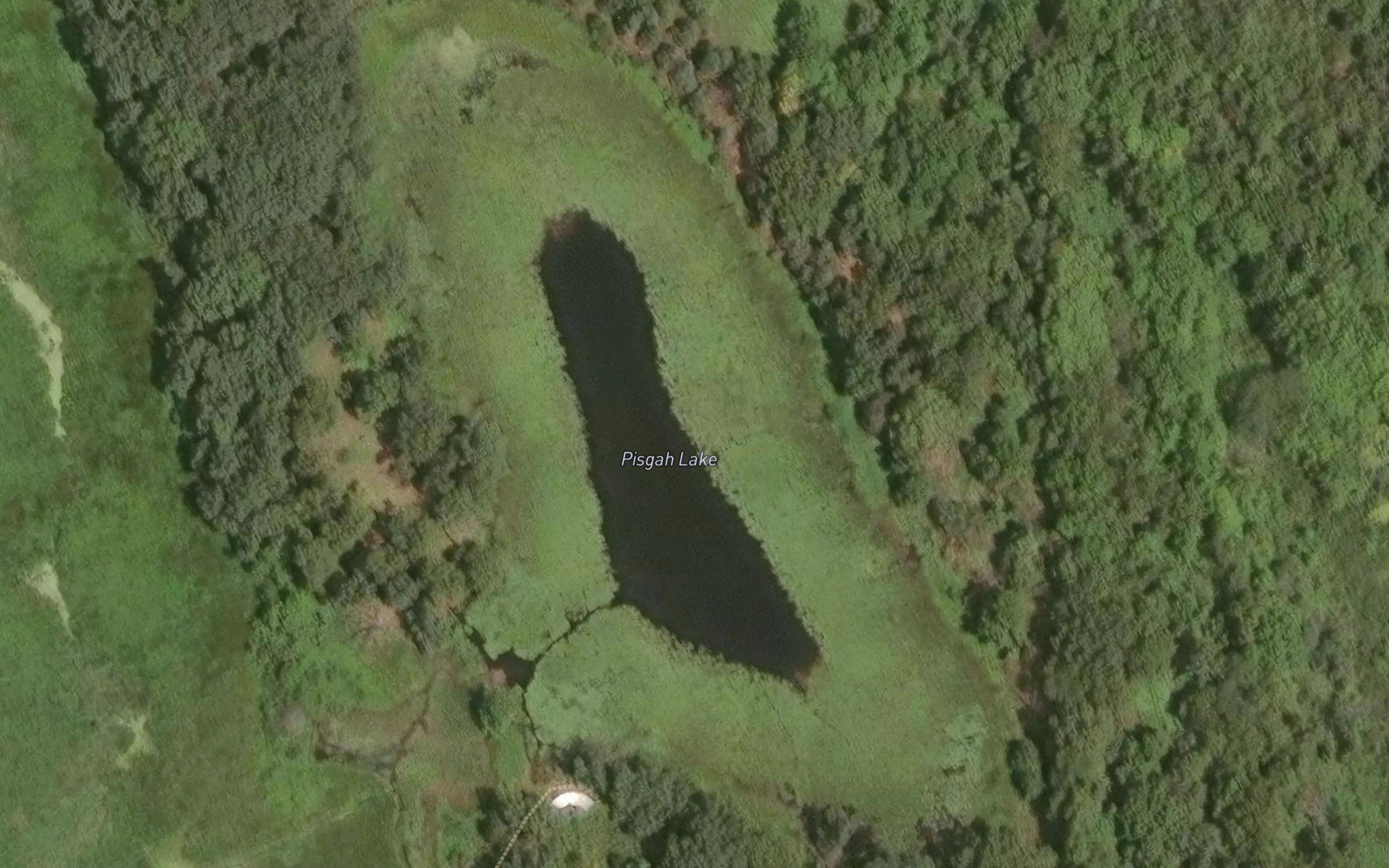 Pisgah Lake
