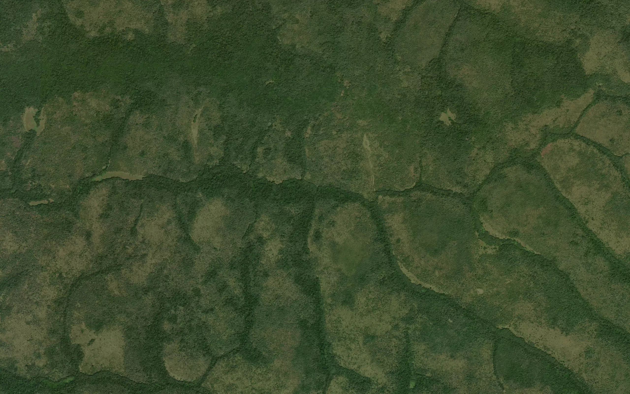 Nambili
