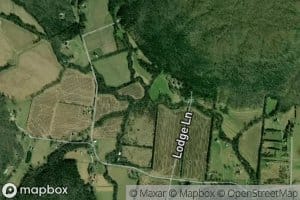 Nancy Winn Cove Branch