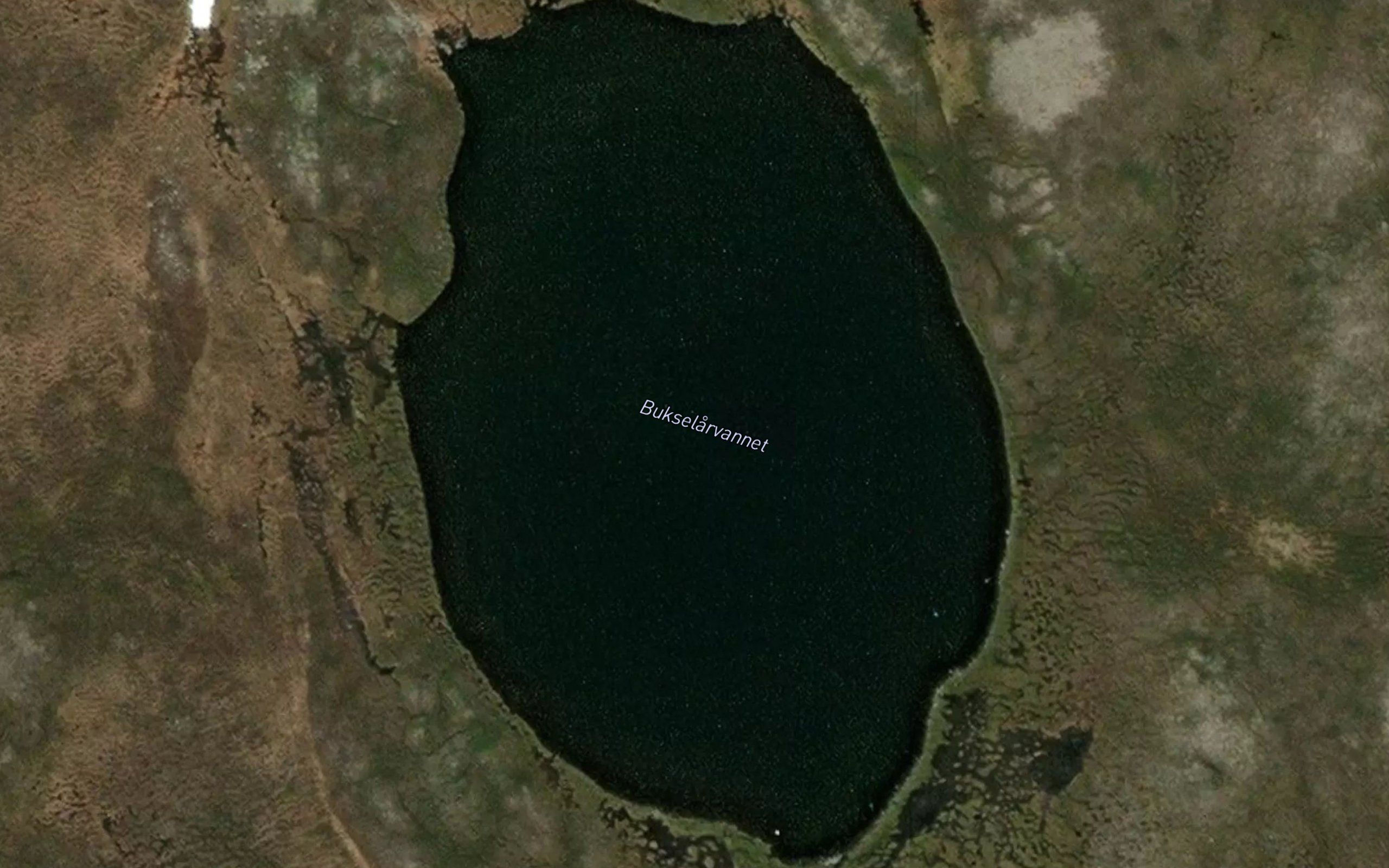 Bukselarvatnet
