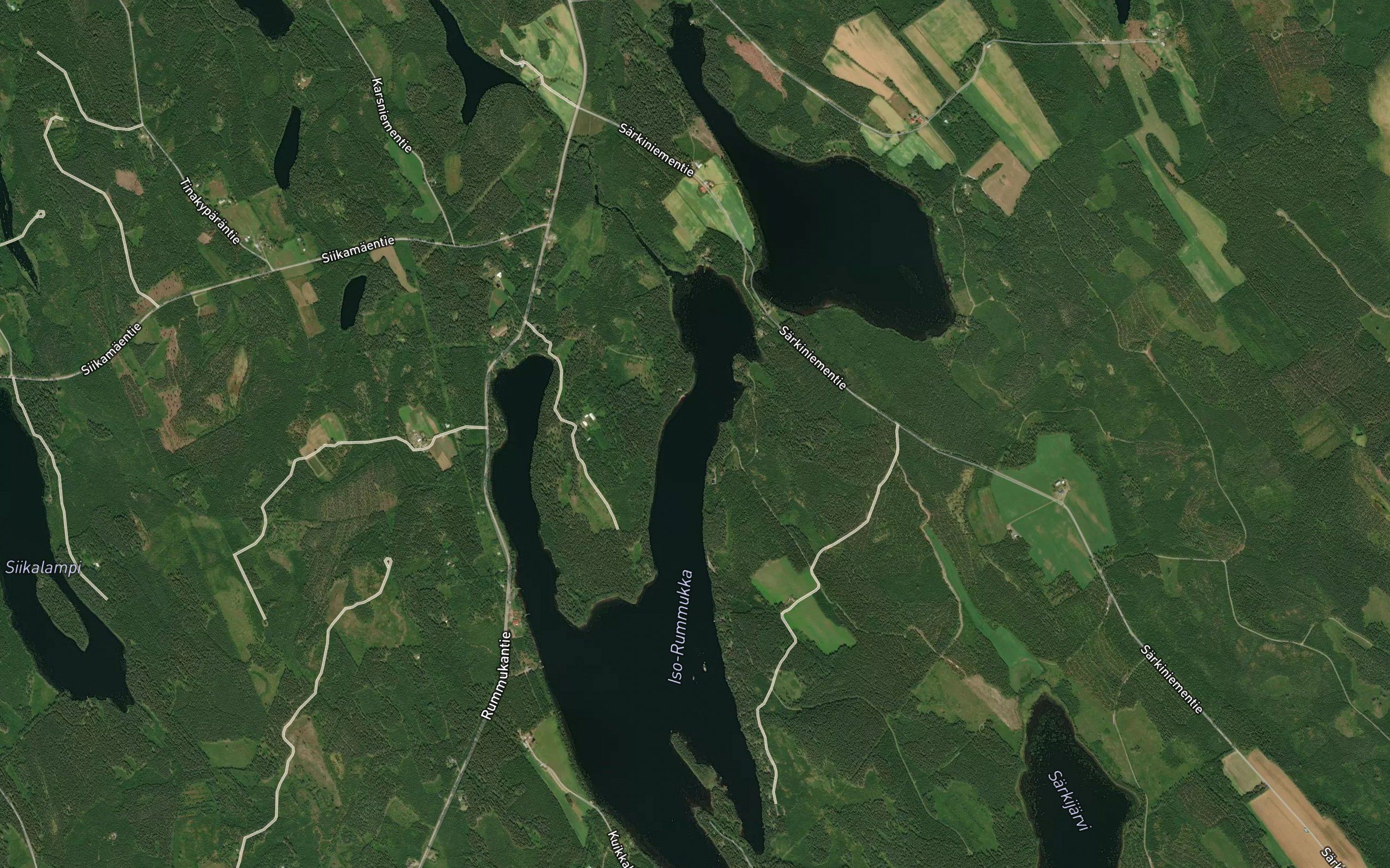 Mammonlahti