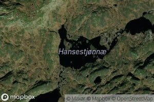 Hansestjornin