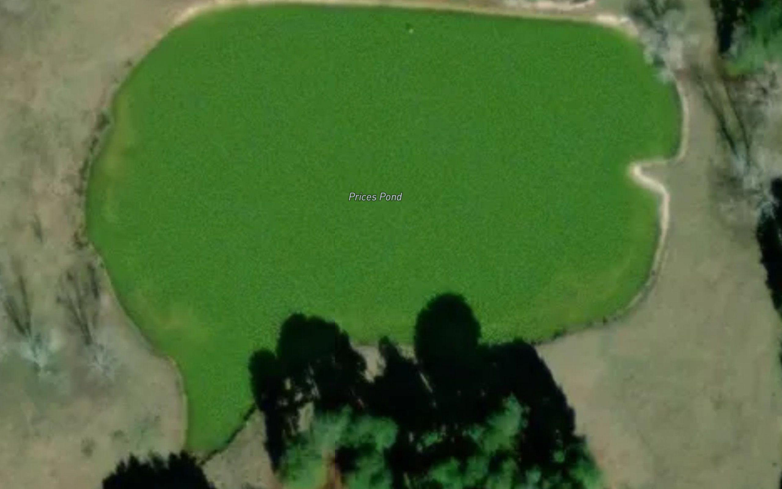 Prices Ponds