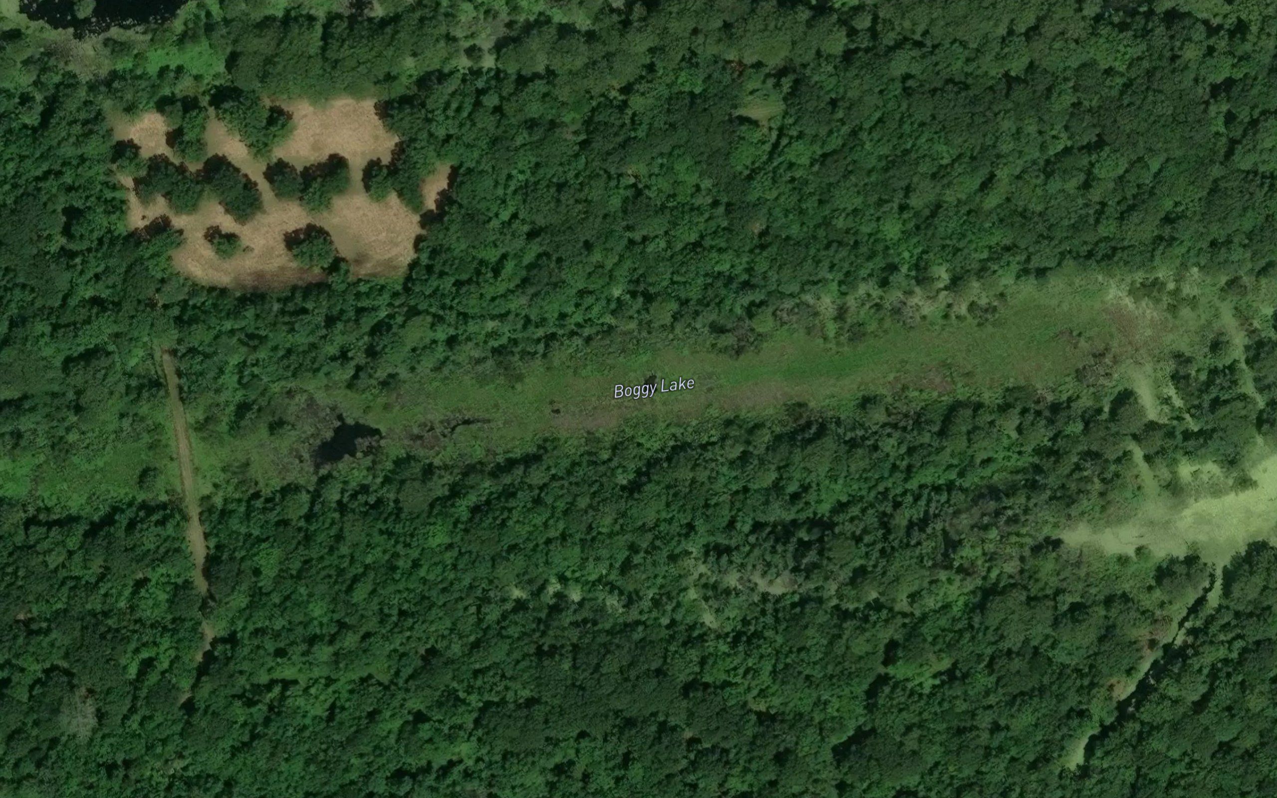 Boggy Lake