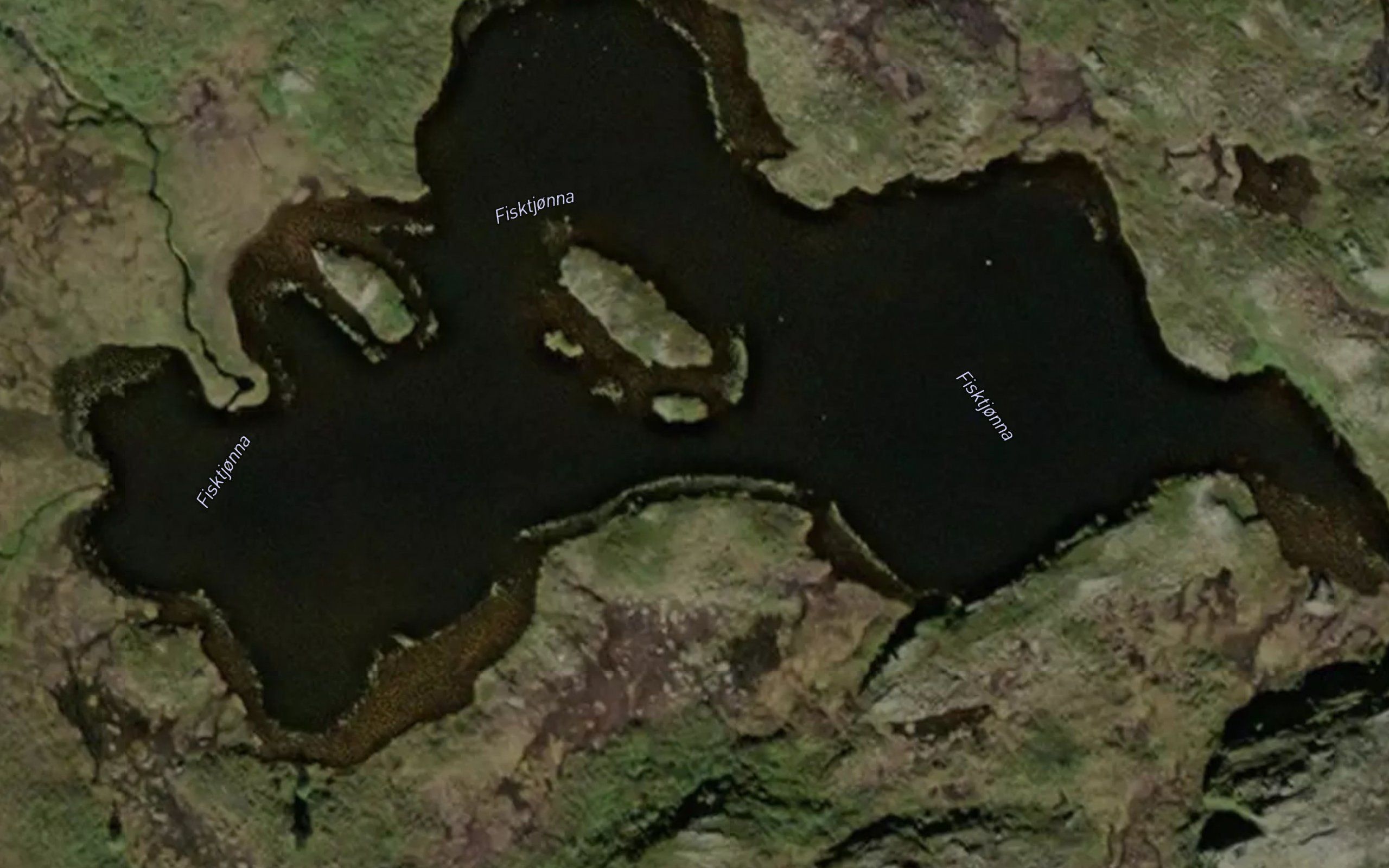 Fisktjorna