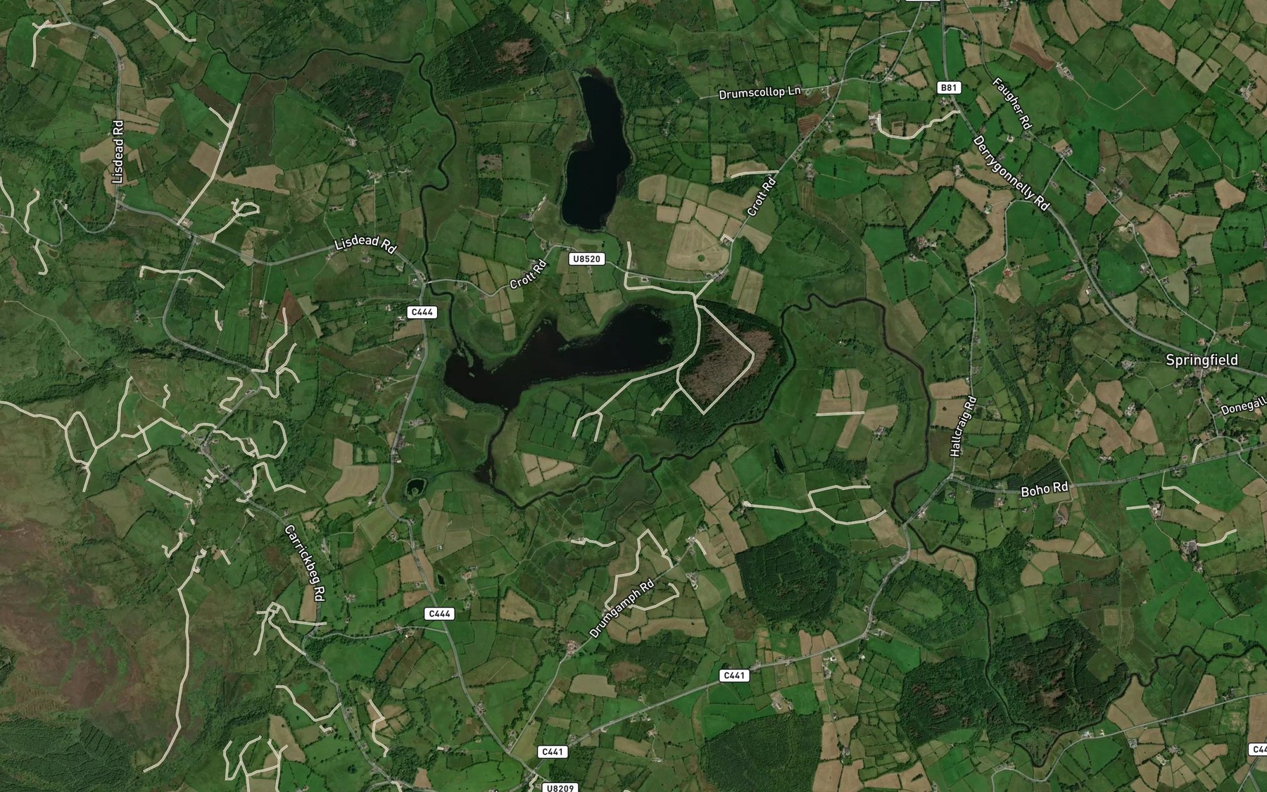 Satellite map of the Ross Lough