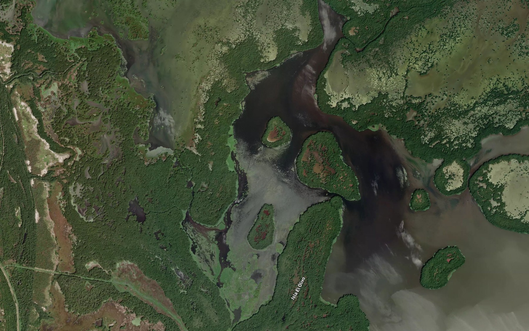 Satellite map of the Cienaga de Cherle