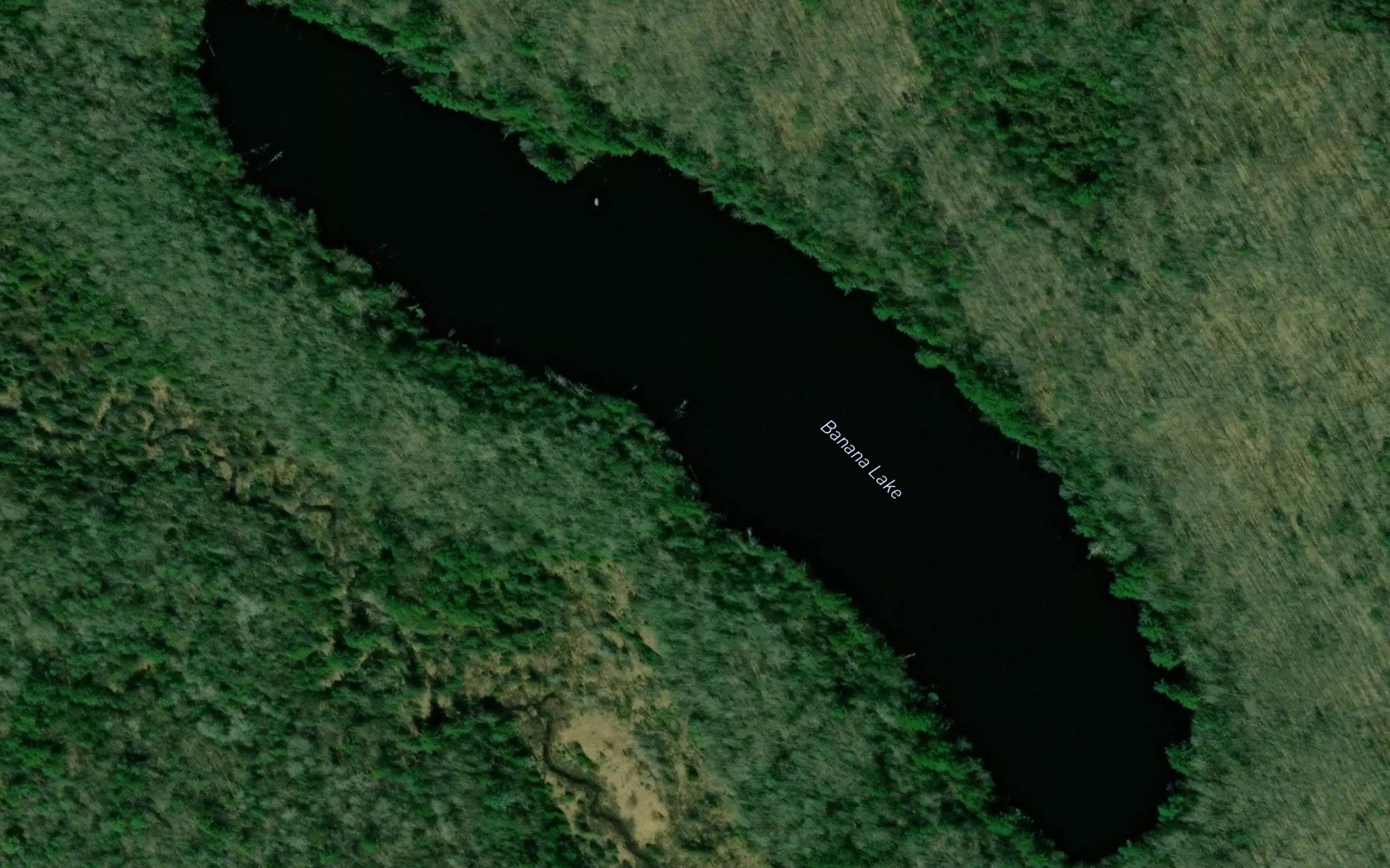 Banana Lake