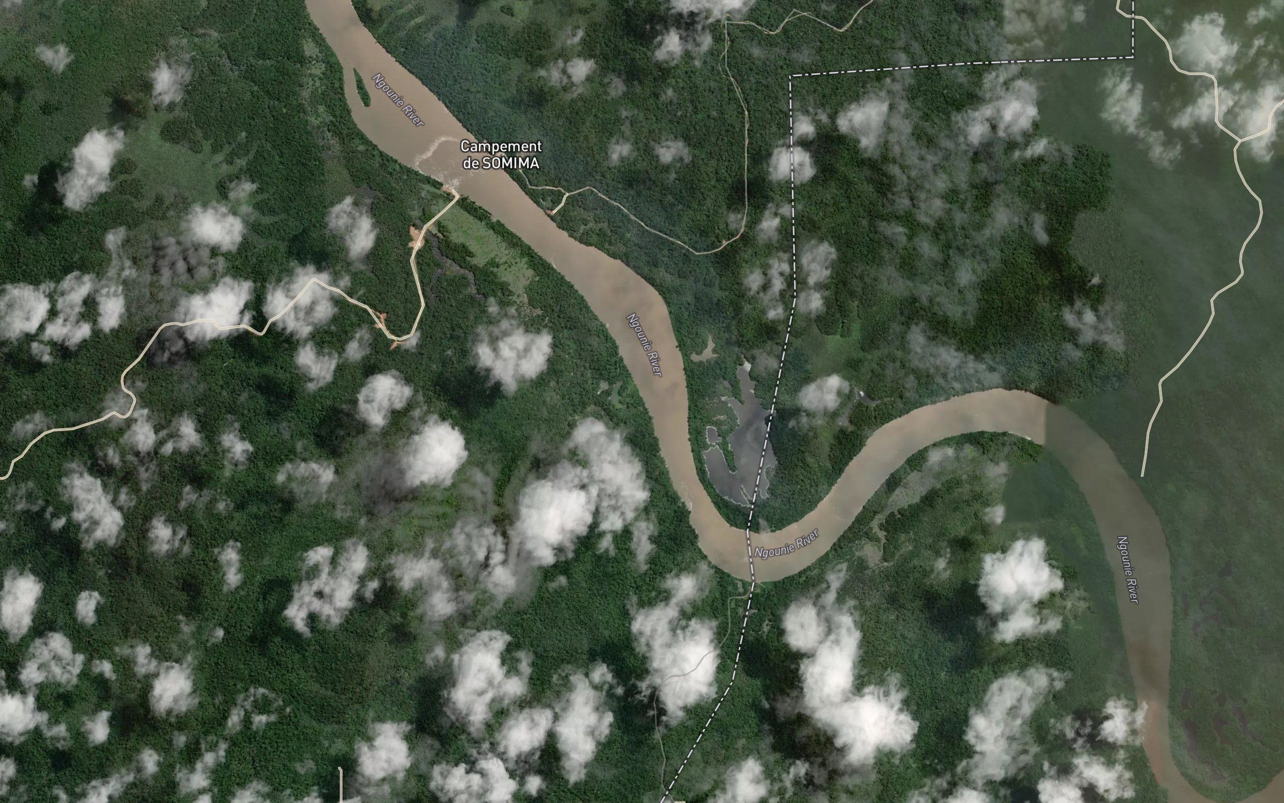 Diala