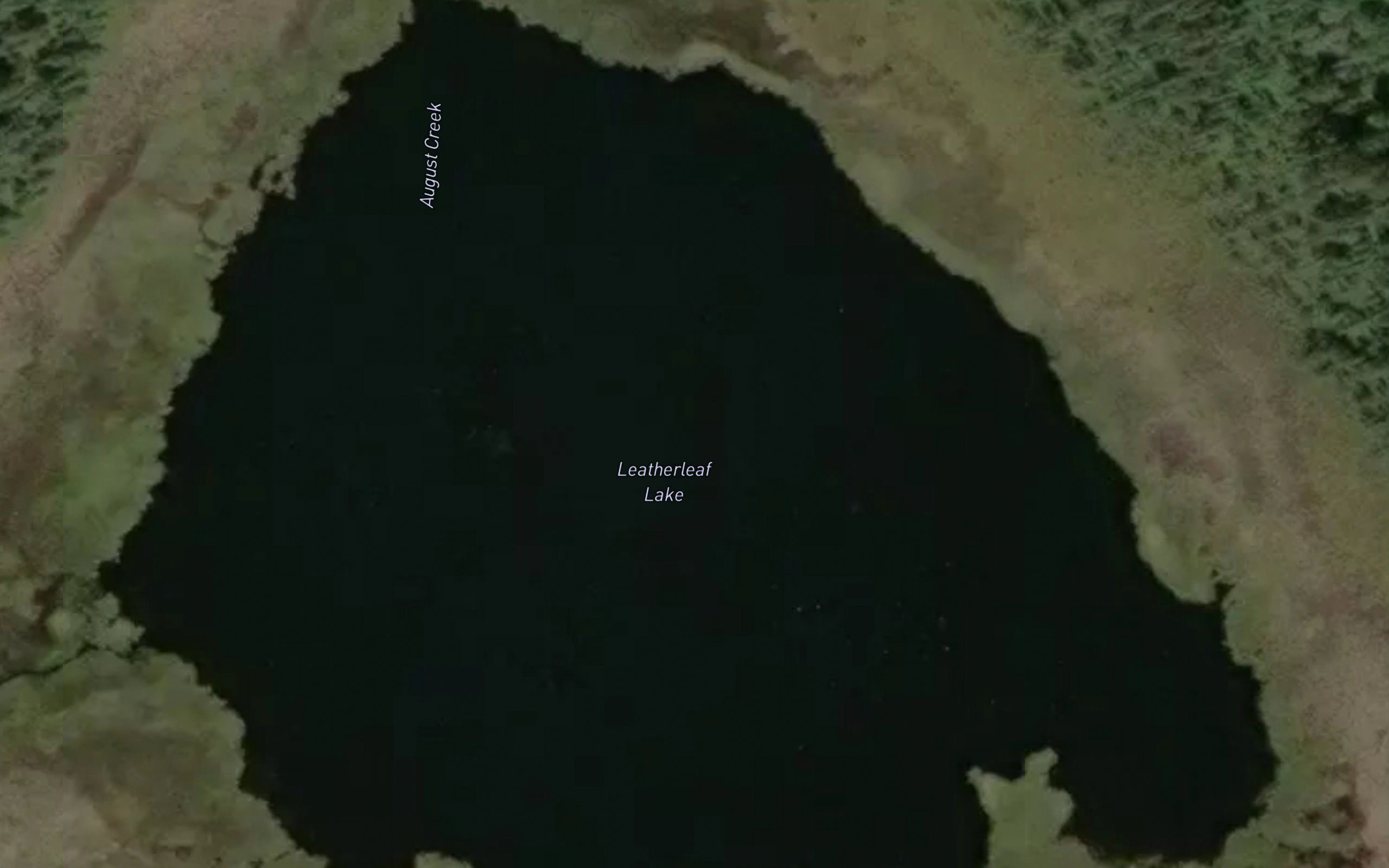 Leatherleaf Lake