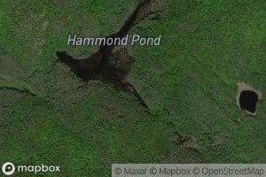 Hammond Pond