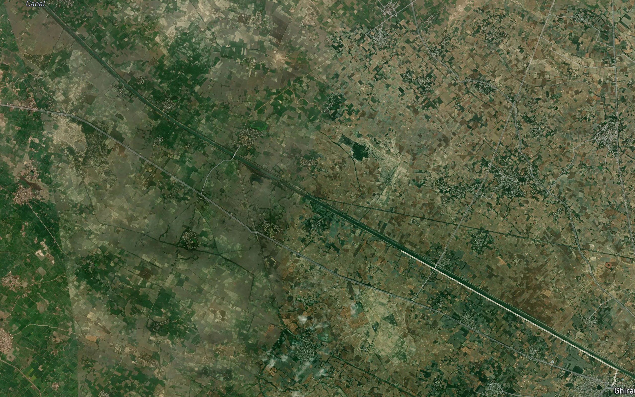 Kusiari Cut