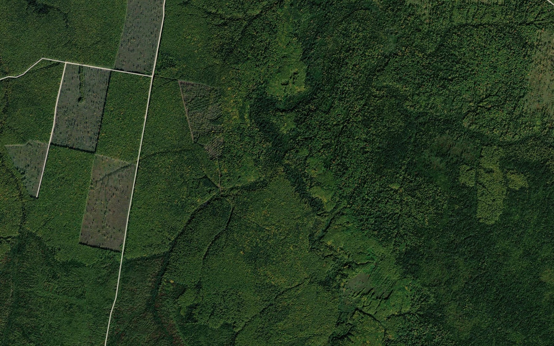 Satellite map of the Kol'