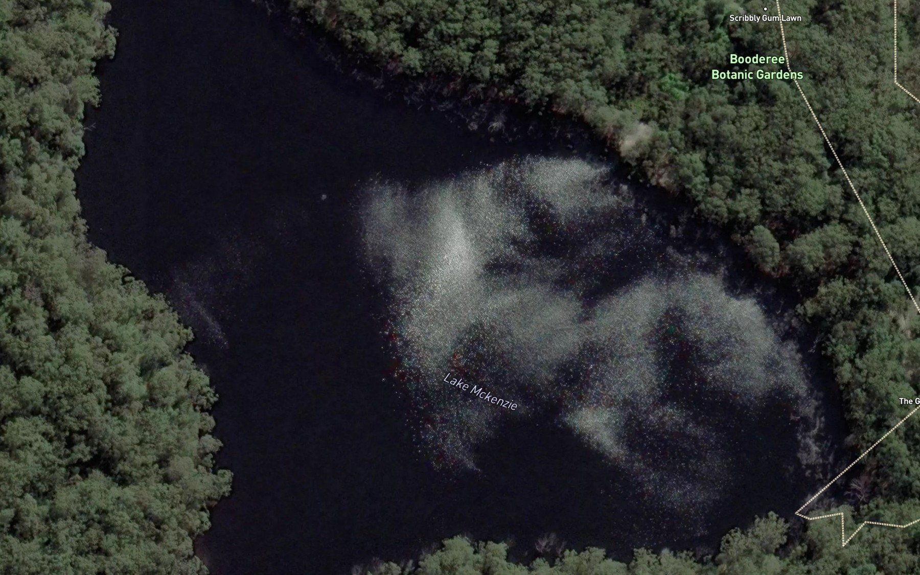 Satellite map of the Lake Mckenzie