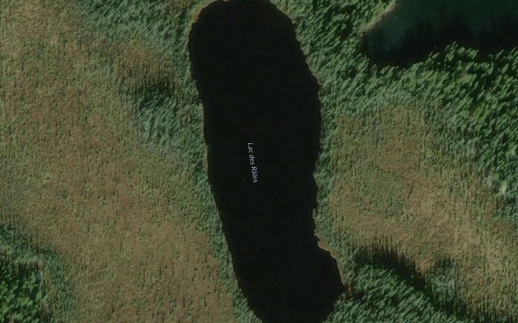 Satellite map of the Lac des Rales