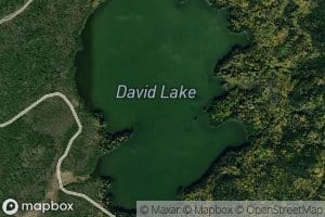 David Lake