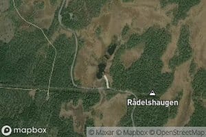 Radelstjerna
