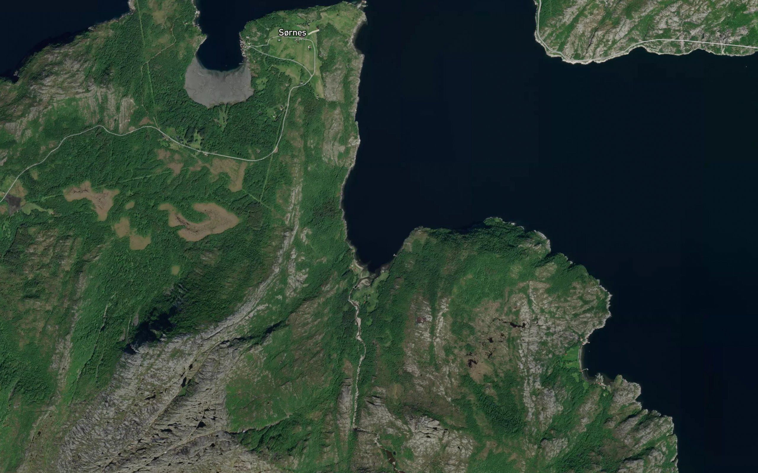 Juvika