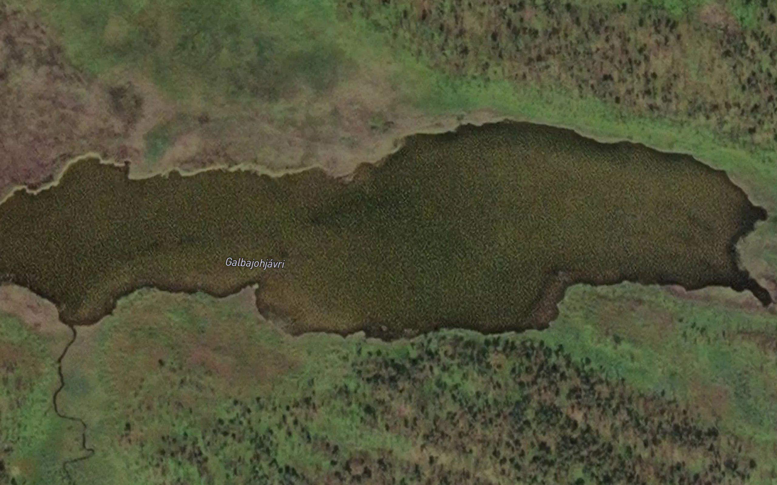 Galbajakjavri