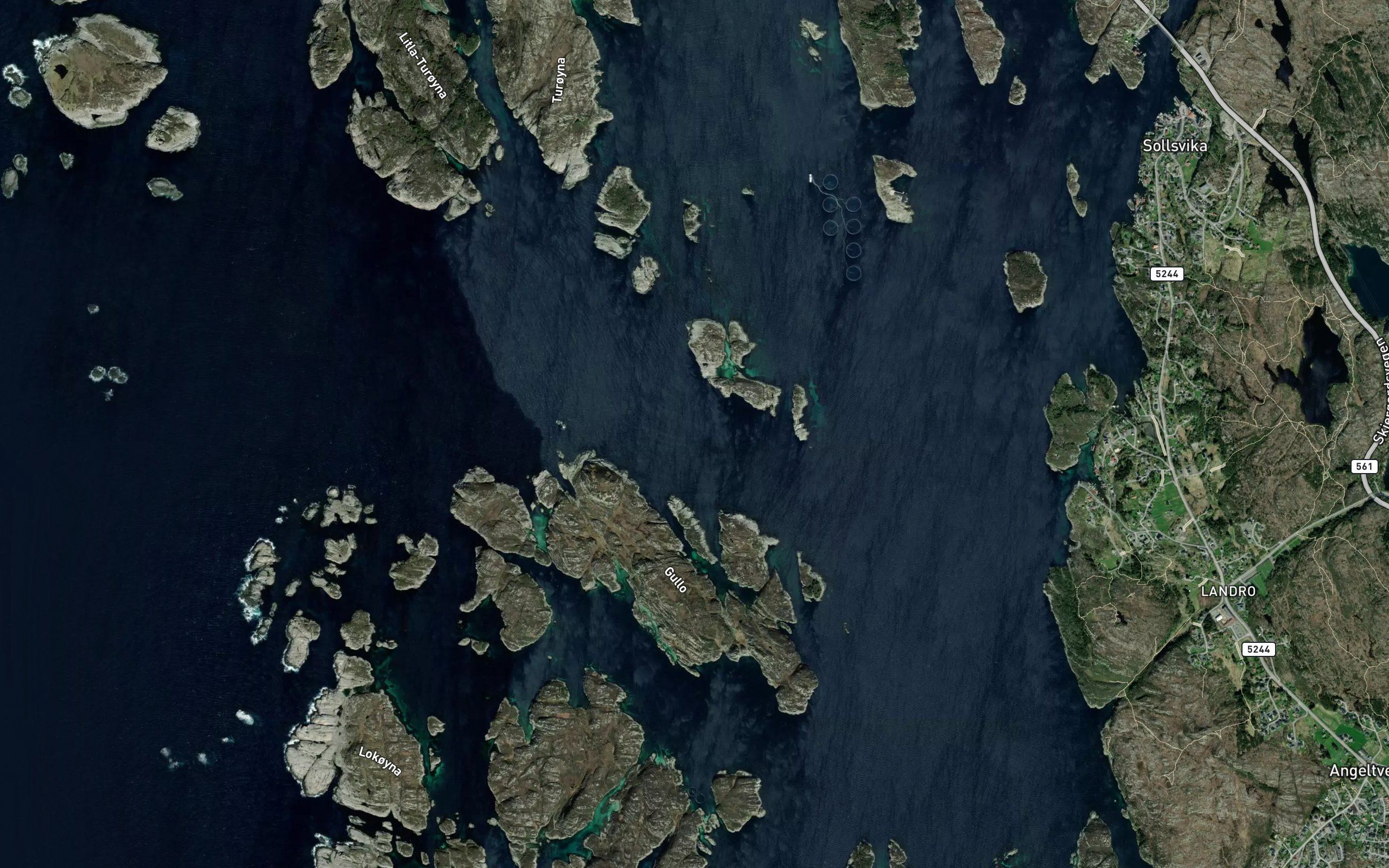 Hjelmehalsen