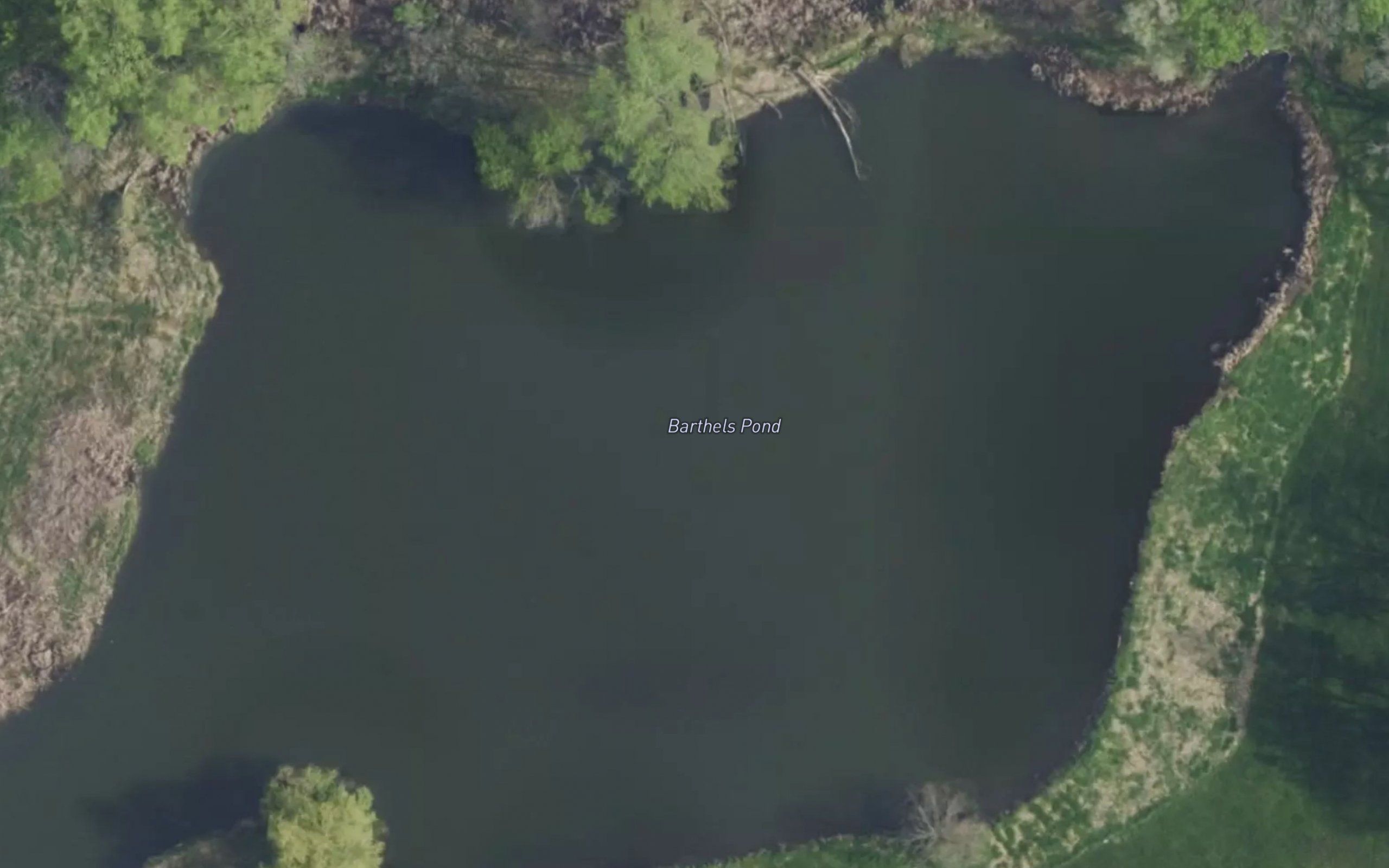 Barthels Pond