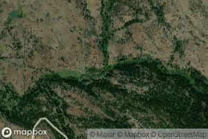 Dunning Creek