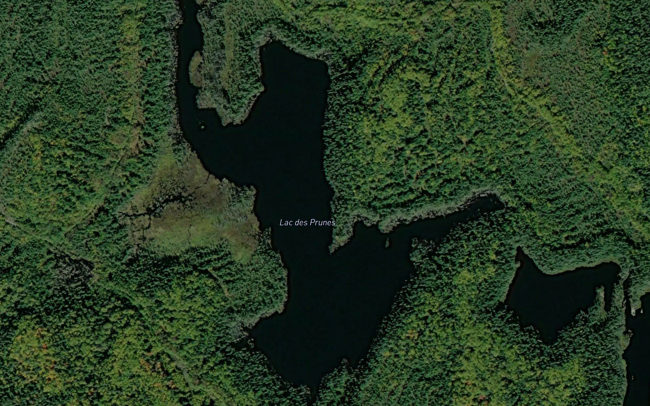 Lac des Prunes