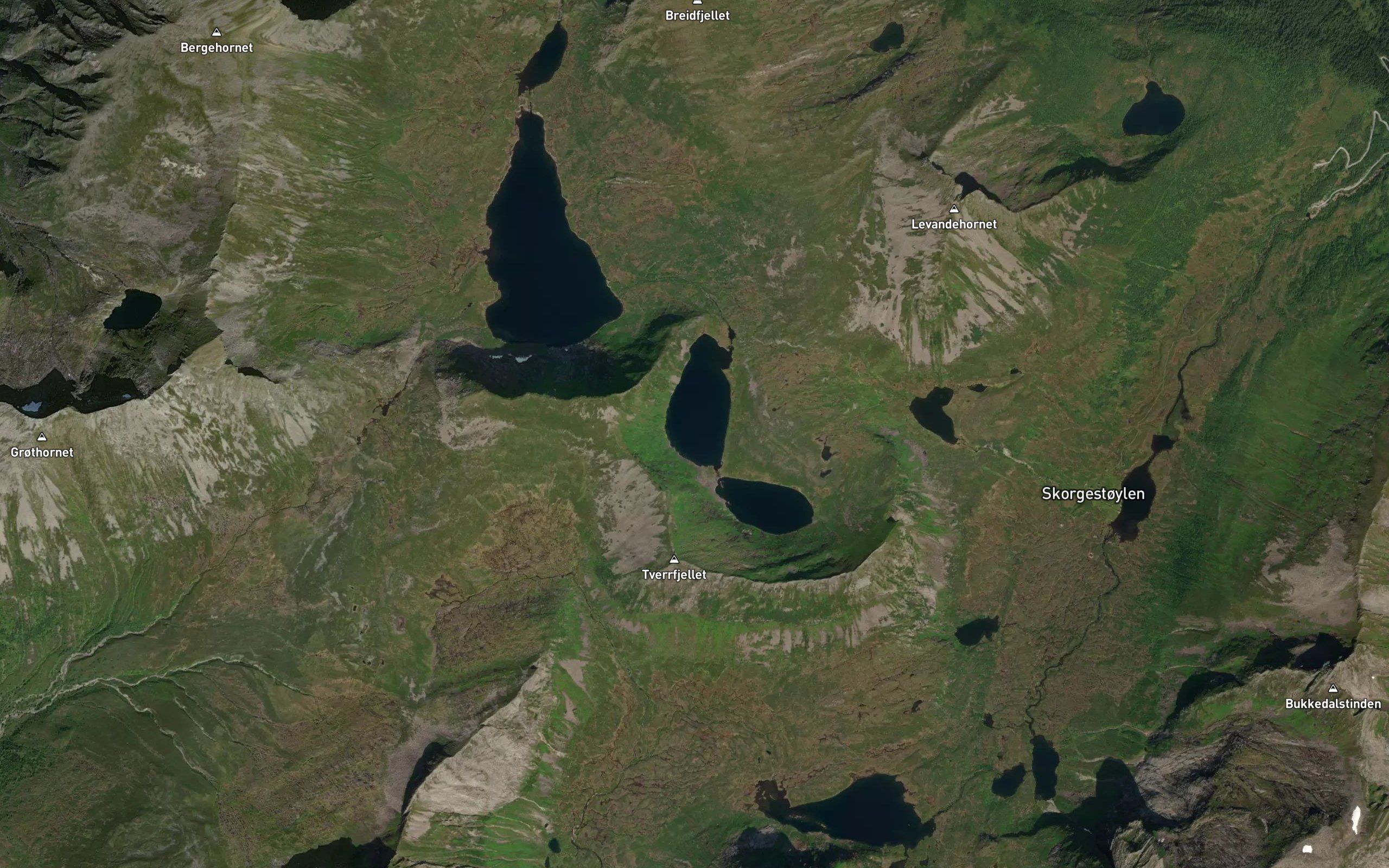Svartevatna