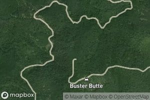 Buster Spring