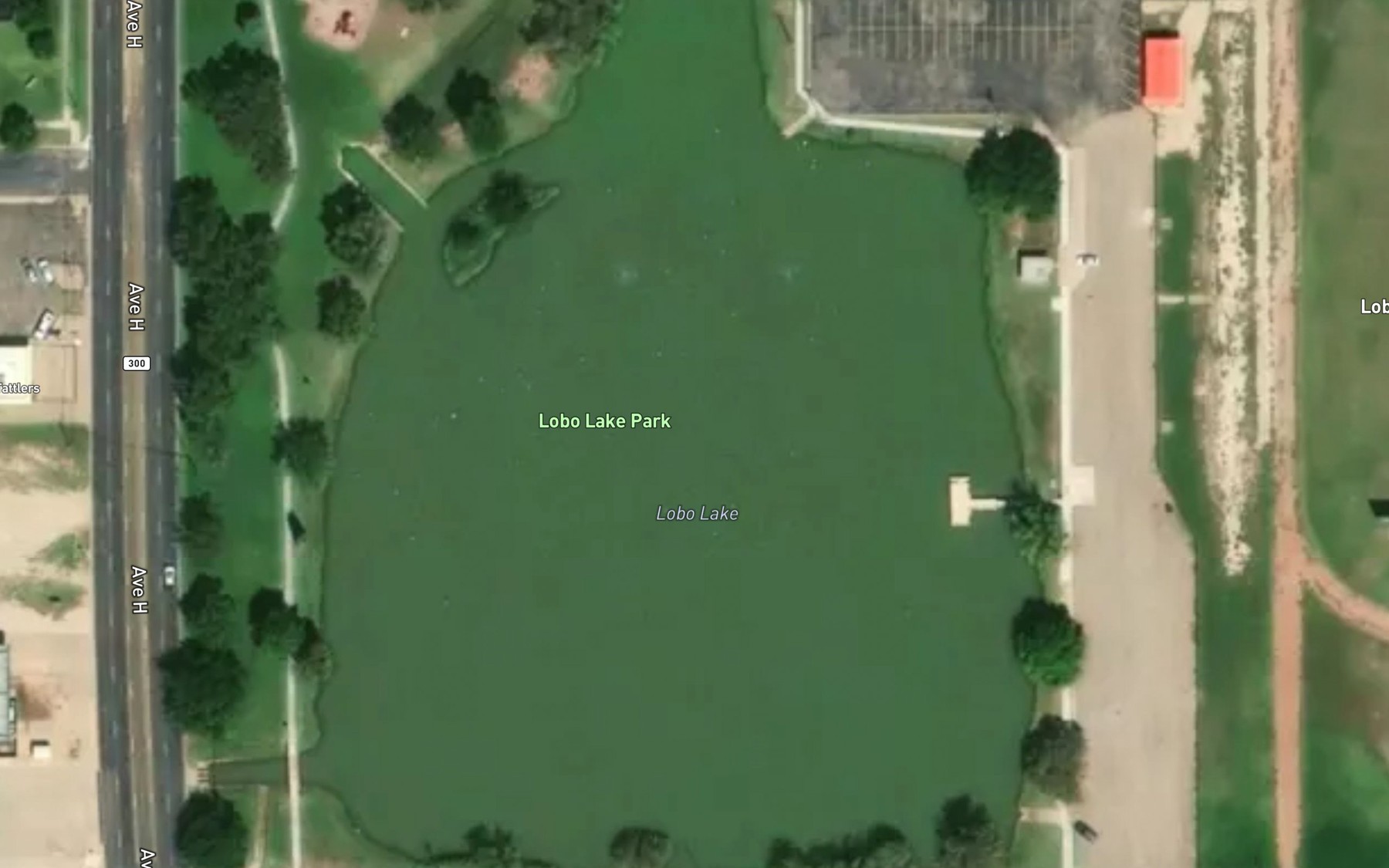 Satellite map of the Lobo Lake