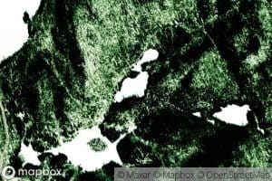 Lac Ganoides