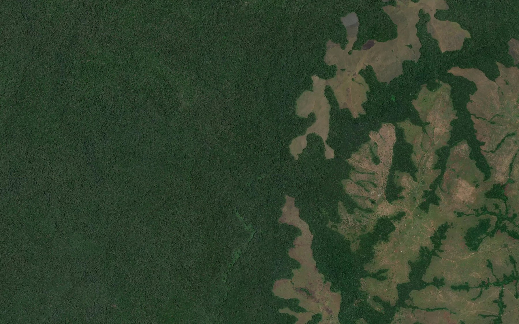 Satellite map of the Ronvi-Ngleza