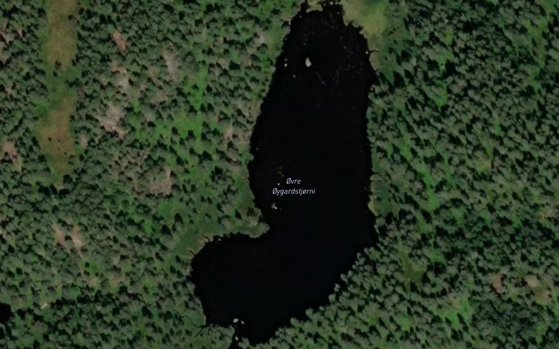 Satellite map of the Oygardstjorni,ovre